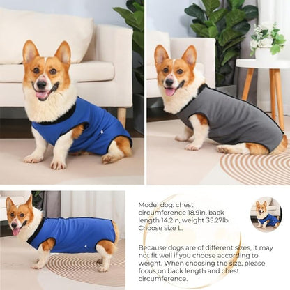Dog Surgery Recovery Suit,Abdominal Surgical Suit for Dogs,Recovery Suit for Dogs,Prevent Licking Surgical Wound Dog Cone Alternative Blue XL