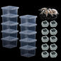 10 Pack Small Size Spider Terrariums Breeding Box Hatching Container Insect Scorpion Centipede Acrylic Breeding Box (with 10 Pcs Micro Water Bowl