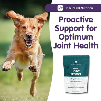 Dr. Bill’s Canine Joint Protect | Joint Support for Dogs | Pet Supplement for Ligament & Tendon Strength | Collagen Type II, Hyaluronic Acid, Eggshell Membrane and L-Glutamine