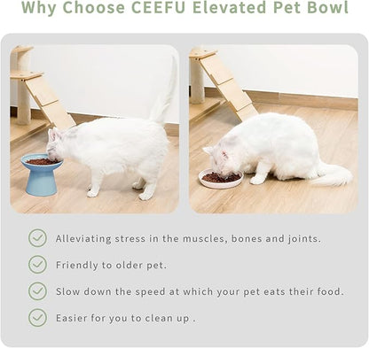 Extra Wide Elevated Ceramic Cat Bowl, 6.2" Shallow Dish for Whisker Fatigue Relief, 5" Height for Easy Feeding, Durable Raised Cat Food Bowls, Pack of 2, Blue