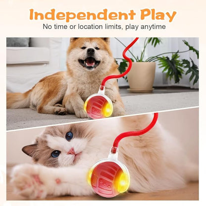 2026 New Interactive Pet Toy Ball, Smart Interactive Toy Ball for Cats & Dogs, Electric Rolling Pet Toy Ball, Rechargeable Interactive Cat Toys for Bored Indoor Cats Kittens to Keep Busy (Red)