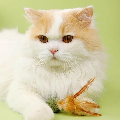 5 Pieces of Catnip Toys Ideal Catnip Ball to Stimulate Cat Exercising and Interacting Toys for Cats