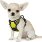 Eagloo Small Dog Harness No Pull, Service Vest with Reflective Strips and Control Handle, Adjustable and Comfortable for Walking, No Choke Pet Harness with 2 Metal Rings, Green, XS