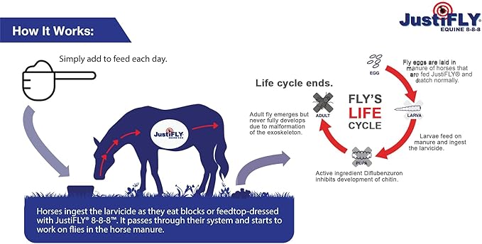 Equine 8-8-8 Fly Control for Horses (10 lb)