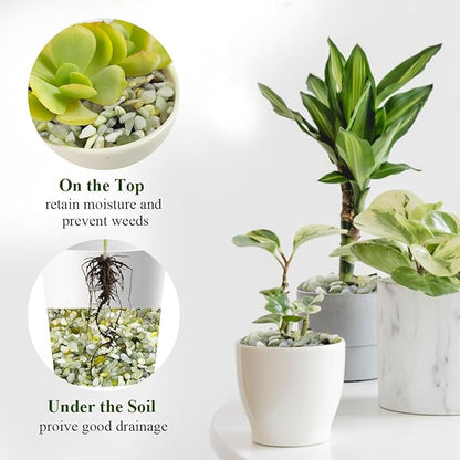 10 lbs Jade Gravel Small Pebbles for Plants, 3/8 Inch Decorative Rocks for Plants Succulents Bamboo Vases Landscaping and Potted Drainage Rocks