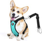 Dog Seat Belt, Safety Vest Dog Car Harness with Adjustable Buckle Dog Seat Belt for Vehicle Nylon Pet Safety Seat Belts Heavy Duty(S, Blue)