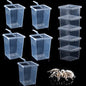 10 Pack Spider Terrariums Breeding Box Small Reptile Hatching Container Acrylic Feeding Box for Arboreal Spider Tarantula Mantis Scorpion Centipede Insect (5 High+5 Small)