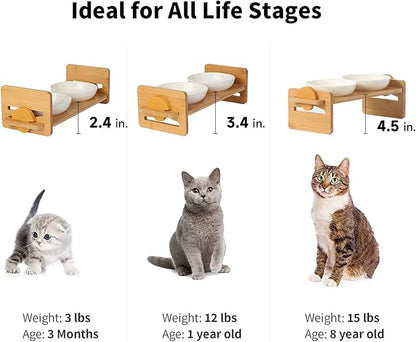 FUKUMARU Elevated Cat Ceramic Bowls, Small Dog 15° Tilted Raised Food Feeding Dishes, Solid Bamboo Water Stand Feeder Set for Cats and Puppy