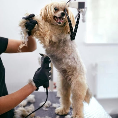 5PCS Wide Blade Dog Grooming Blades Compatible with Andis Dog Clipper,Dog Grooming Wide Blade compatiblewith Wahl km10 Clippers/Oster A5 Type Blade,for Animal Dog,Cat,Horse (30W+10W+7FW+5FW+4FW)