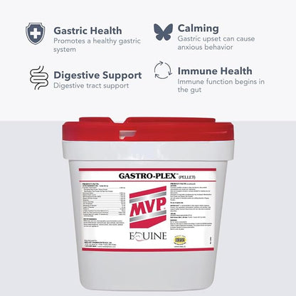 Gastro-Plex (6 lb) Supports Gut Health and Hindgut Digestion in Horses