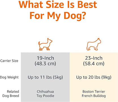 Amazon Basics 2-Door Top-Load Hard-Sided Dogs, Cats Pet Travel Carrier, Gray & Blue, 22.8"L x 15.0"W x 13.0"H