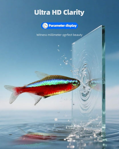 5 Gallon Clear Glass Fish Tank, Easy to Maintain Small Aquariumfor Betta, Goldfish, Snail,Shrimp and Aquatic Planting