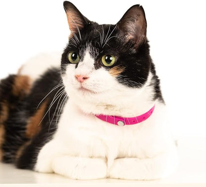 5 Pack Breakaway Cat Collar - Soft, Comfortable, and Lightweight Safety Buckle Collar with ID Tag Ring for Outdoor Cats and Kittens by Nuvuq (6 ⅞" to 10 ¼", Red, Orange, Pink, Blue and Black)