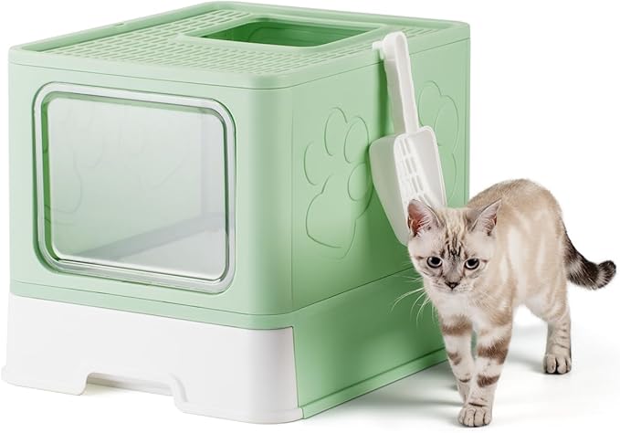 Enclosed Cat Litter Box, Large Litter Box for Big Cats, Covered Kitty Litter Boxes with Lid, Top Entry Cat Box Enclosure with Scoop, Odor Control, Easy to Clean(Green)