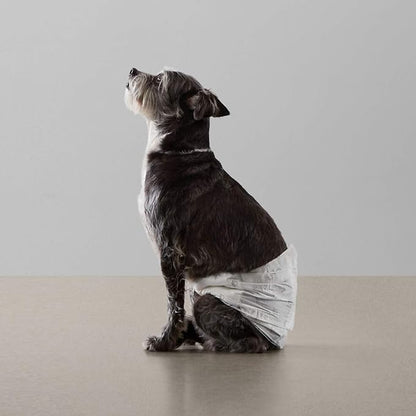 Amazon Basics Male Dog Diapers, 30 Count, Small, Ultra Absorbent Disposable Wrap with Secure Fit, Leakproof and Comfortable