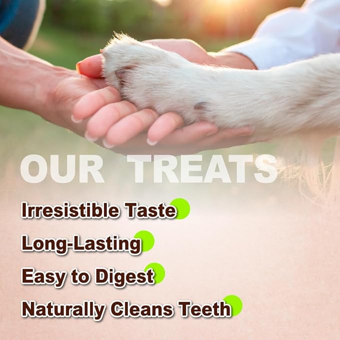 Afreschi Natural Turkey Tendon Bone (S) 40 Units/Box, Dog Treats for Signature Series, All Natural Human Grade Puppy Chew, USA-Sourced Turkey Tendon, Hypoallergenic, Rawhide Alternative