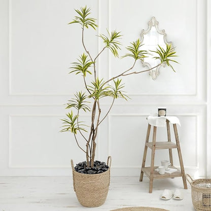 5 lbs Natural Polished Black River Rocks, 1-2 inch Decorative Pebbles for Indoor Plants. Black Stones for Planters, Vase, Garden Landscape Rocks and Outdoor Decorative Stones