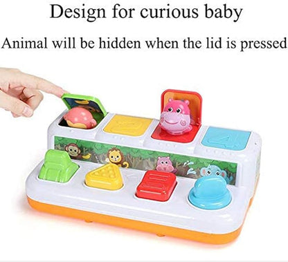 Animal Park Interactive Pop Up Music Toy,Up- Early Education Activity Center Toy, Ages 7 8 9 10 11 12 Months and up Infant Toddlers Toys.