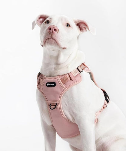 2025 New Edition, Fei & Eve MagEase Dog Harness - 3-Second Magnetic Buckles | 3-Point No-Pull Control | Heavy-Duty 900D Nylon | Dual Safety Handles | Breathable Mesh | Adjustable Fit | X-Large, Pink