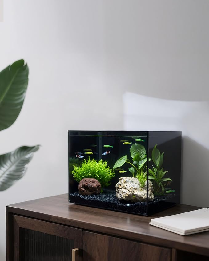 3 Gallon Clear Glass Fish Tank, Small Fish Tank Aquarium for Betta, Goldfish, Snail,Shrimp and Aquatic Planting