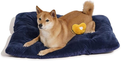 FUNNY FUZZY 2 in 1 Dog Bed Crate Pad Mat, Washable Reversible Pet Floor Mats,Fluffy Kennel Pad for Small Large Sized Dog,Indoor Cats,Sleeping Mattress,35.4" × 22.8", Midnight Blue