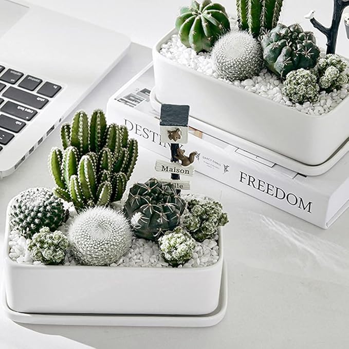 7lb White Cactus Pea Gravel Rocks,1/4 Inch Pebbles for Indoor Plants, Natural Succulent Rock and River Rocks Decorative for Aquariums, Vases, Outdoor Gardening, Top Dressing for Potted Plants