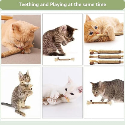 5 PCS Silvervine Sticks for Cats - Natural Cat Chew Toys for Teeth Cleaning, Kitten Teething & Aggressive Chewers
