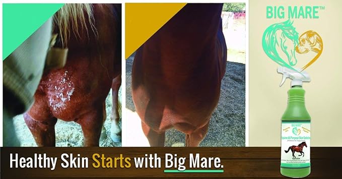 All Purpose Horse Skin & Wound Care 32oz | First Aid: for Girth Itch, Insect & Fly Bites, Crud, Itchy Manes & Tails & Hair Loss | Vet Approved & Recommended
