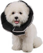 Adjustable Small Dog Cone,Soft Cat Recovery Cone Collar,Cute Cat Surgery Collar for Kitten,Puppy,Black,Medium