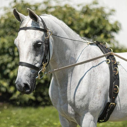 Dura-Tech Brown Cotton Web Long Lines | Ideal for Youngsters and Green Horses | for Beneficial Ground Training | Usable with Saddle or Surcingle | Heavy-Duty Cotton Web