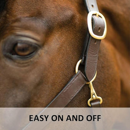 Dura-Tech Premier Lancaster Leather Halter for Horses | Simple Economy Leather Halter with Adjustable Fit & Solid Brass Hardware