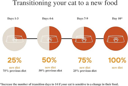 Amazon Brand - Wonder Bound Wet Cat Food, Paté, No Added Grain, 3 oz cans, Pack of 24 (Beef)