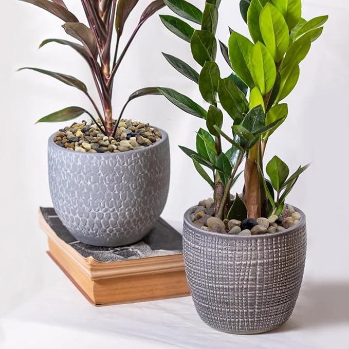 20lbs Natural River Rocks for Plants, 3/8" Aquarium Gravel Decorative Polished Mixed Pebbles for Fish Tank, Gardening, Flower Pots, Vase Fillers, Indoor Water Fountains, Landscaping