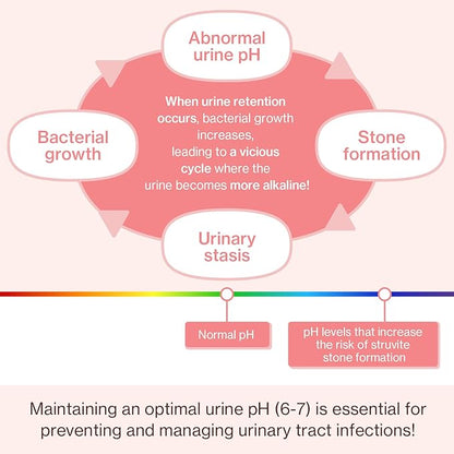Dr.by UT Care Cat UTI Kidney Support Urinary Supplement Cranberry Treatment for Cats Renal Health with Pacran, Quercetin, Taurine lickable Formula Individually Packaged (1 Pack)