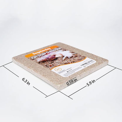 2 Quarts Organic Fiber Substrate for Pet Snail, Ideal Snail Terrarium Accessories for Retains Moisture