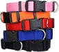 GoTags Dog Collars, Durable Solid Nylon Dog Collars in 5 Color Options and 4 Adjustable Sizes for Puppy and Dogs Extra Small, Small, Medium or Large