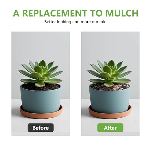 2.5lbs Small Rocks for Terrarium, Planters Drainage, 1/5 Inch Lava Rock for Bonsai Tree, Decorative Gravel for Succulents, Bamboo, Cactus, Mixed Color