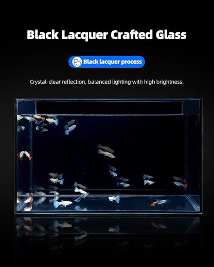 3 Gallon Clear Glass Fish Tank, Small Fish Tank Aquarium for Betta, Goldfish, Snail,Shrimp and Aquatic Planting