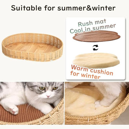 48'' Cat Tree for Large Cats, Modern Cat Tree Multi-Level Condo with Natural Wood, Cat Activity Centre for Medium and Big Pets (White LS02)