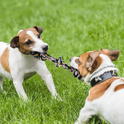 Dog Toys for Aggressive Chewers Large Medium Breed, Indestructible Dog Toothbrush Chew Toys, Squeaky Interactive Tough Extremely Durable, Dogs Toys to Keep Them Busy