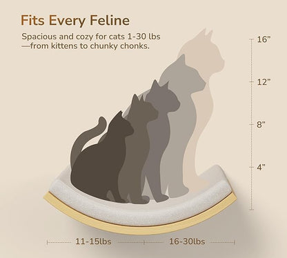 4-Piece Cats Wall Furniture with Cat Window Perch – Wood Wall Mounted Cat Shelves Set with Foam-Padded Curved Bed, Flat Perch & 4-Step Cats Stairs