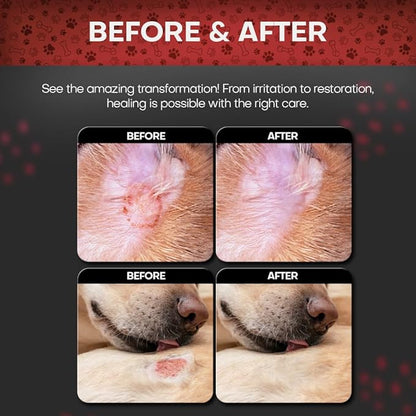 2% Chlorhexidine Wipes for Dogs 3X Larger | Yeast Infection Ringworm Fungus Hot Spot Itch Relief | Medicated Antibacterial Antifungal Extra Gentle Soothing Topical Wipes for Dog Cat | 50 Wipes