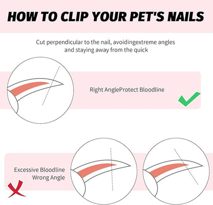 2 PCS Bearded Dragon Nail Clippers, Cat Nail Trimmer, Stainless Steel Cat Claw Clippers, with (White + Pink) Files * 2, Suitable for Reptiles, Novice Pet Families (Orange + Rose Red)