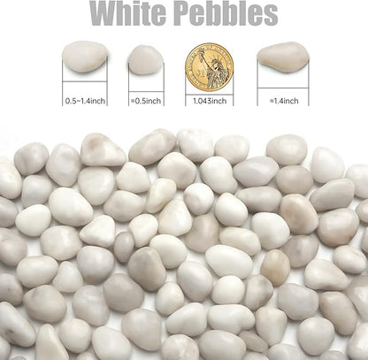 5 Lbs River Rocks for Plants,0.4-1.2 Inch Decorative Ornamental Pebbels, High Polished Stones for Garden Landscaping, Smooth Gravel Filler for Outdoor Plants, Succulents, Fish Tank and Vases, White