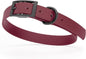 Dogline Biothane Waterproof Dog Collar Strong Coated Nylon Webbing with Black Hardware Odor- Proof for Easy Care Easy to Clean High Performance Fits Small Medium or Large Dogs, Merlot Burgundy
