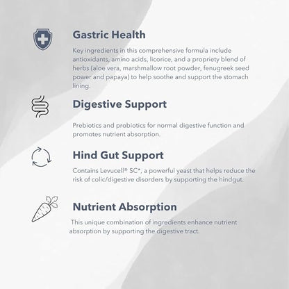 Gastro-Plex (6 lb) Supports Gut Health and Hindgut Digestion in Horses