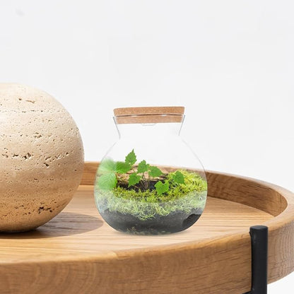 Fish Bowl with LED Light - Small Betta Fish Tank with LED Lighting and Lid Glass Fish Bowl Small Aquarium for DIY Landscape