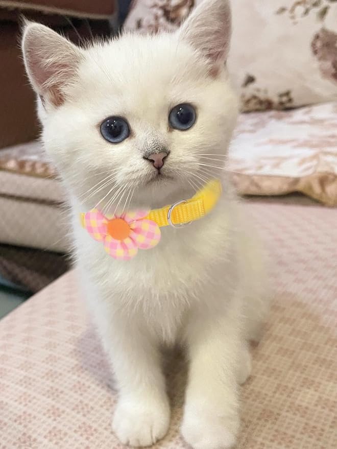 16 PCS Cute Cat Collars Breakaway with Bell for Boy Cats and Girl Cats Gifts (#5-Multicolor Plaid)