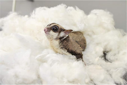 All-Natural Nesting Material (4 oz.) - 100% Cotton Eco-Friendly Animal Bedding - For Sugar Gliders, Squirrels, Hamsters, Rabbits, Chinchillas, Rats, Mice, Gerbils, Guinea Pigs and Other Small Pets