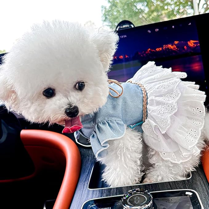 Girl Dog Denim Dress with Flared Sleeves Dog Jeans Jacket Blue White Puppy Clothes for Small Dogs Cat Apparel Cake Skirt Pet Outfit (Blue, Large)